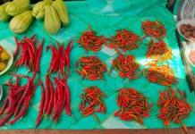 Cabai Ambon Kosong, Harga Cabai Lokal di Pasar Langgur Melonjak