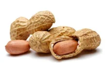 Kacang Tanah, Memiliki Manfaat pada Kesehatan Tubuh
