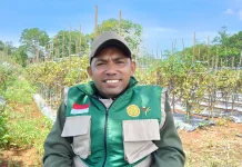 Manfaatkan Lahan Kosong, Penyuluh Ajak Petani Gerakan Roda Ekonomi