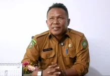 Tantangan Koordinasi dan Sistem di Balik Prestasi DPPKB Maluku Tenggara