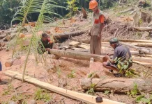Babinsa Koramil 1503-02/Elat Bantu Warga Ohoi Renfaan GPM Bangun Rumah