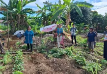 Kehadiran Penyuluh Pertanian, Upaya Mendorong Ketahanan Pangan