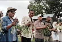 Walikota Harapkan Panen Bawang Bantu Tekan Inflansi di Kota Tual