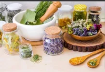 Ahli Ingatkan Pentingnya Aturan Pakai Tanaman Obat