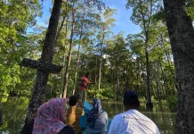 Wisata Mangrove Hoat Tamngil, Surga Tersembunyi di Maluku Tenggara