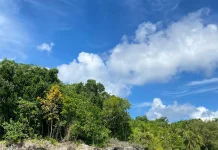 Pantai Ngurtawadan: Kepingan Surga di Maluku Tenggara