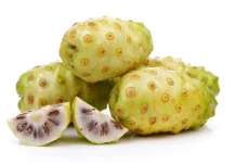 Apa Saja Khasiat Buah Mengkudu? Yuk Cari Tau Disini
