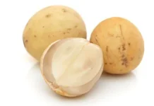 Duku, Buah Kaya Manfaat dan Lezat