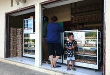 Harga Telur Turun, Pembelian Meningkat