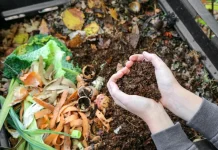 Yuk Membuat Pupuk Dari Sampah Rumah Tanggamu