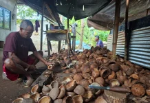 Harga Kopra Malra Anjlok ke Rp 8.000, Pengusaha Keluhkan Ketidakpastian harga