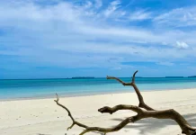 Asal Usul Pasir Putih di Pesisir Pantai