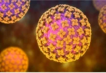 Peneliti BRIN Minta Masyarakat Tenang: Hantavirus Belum Ditemukan di Indonesia