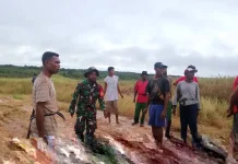 Babinsa Koramil 1503-04/Jerol Bersama Warga Gotong Royong Perbaiki Jalan Rusak