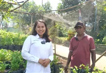 Seledri dan Daun Sup Banyak Dicari, Keuntungan Bagi Petani