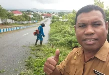 Hewan Ternak Liar Salah Satu Penghambat Pengelolaan Sampah di Kota Tual