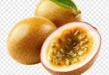 Markisa,tanaman buah ramah lingkungan dan sehat