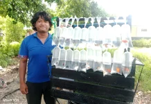 Manfaatnya Memelihara Ikan Hias Bagi Anda