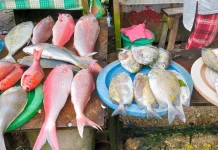 Cuaca Buruk, Pasokan Ikan Menyusut Harga Melambung Tinggi