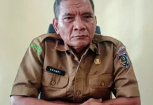 Pemda Tanimbar Salurkan 17 Ekor Sapi Kurban Bagi  Jamaah