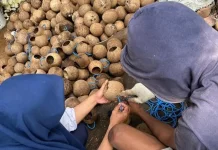 Kreativitas Warga, Batok Kelapa Diubah Menjadi Pelampung Budidaya Rumput Laut