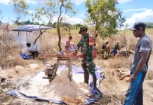 Lestarikan Kearifan Lokal, Babinsa Dampingi Pengolahan Sagu Tradisional