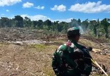 Dandim 1503/Tual Tinjau Marselin Area dan Pembersihan Lahan Yon TP