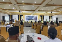 Kemenkes-Unair Dampingi Penyusunan Renja Kesehatan Maluku Tenggara