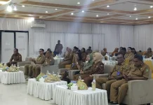 Wilayah Kepulauan Jadi Tantangan Utama Perencanaan Kesehatan di Maluku Tenggara