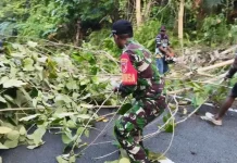 Babinsa Bersama Warga Buka Akses Jalan akibat Pohon Tumbang
