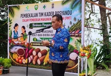59 Kader Posyandu Maluku Tenggara Ikuti Pembekalan PMT Berbasis Pangan Lokal