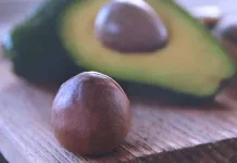 Tanaman Buah Biji Alpukat Memiliki Protein dan Bergizi pada Tubuh