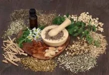 Minuman Herbal Kaya Manfaatnya, namun Batasi Konsumsi yang Berlebihan
