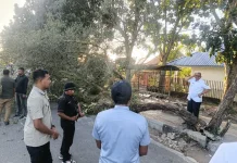Respons Cepat Bupati Malra Buka Akses Jalan usai Pohon Tumbang di Langgur