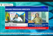 Optimalisasi PAD Perkuat Kemandirian Fiskal Kabupaten Maluku Tenggara