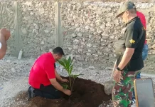 Peringati Bulan Bung Karno, PDI Perjuangan Malra Tanam Pohon dan Salurkan Sembako