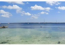 Bea Cukai Siap Layani Kedatangan 22 Yacht Sail to Indonesia 2026 di Kota Tual
