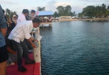 Walikota Tual Tabur Benih Teripang Dukung Sail Indonesia