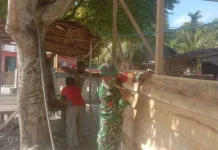 Babinsa Finualen Bantu Pembangunan Rumah Warga