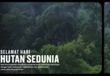 Sejarah Hari Penjaga Hutan Sedunia 31 Juli