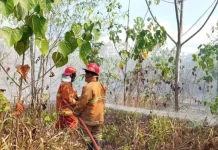 Meningkatnya Risiko Kebakaran Musim di Kemarau, Damkar Tual Tetap Siaga