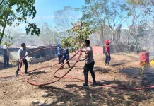 Respon Cepat Layanan 110 Polres Tual Bersama Damkar Berhasil Padamkan Kebakaran