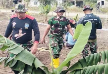 Koramil 1503-04/Jerol Hadir di tengah Masyarakat, Bangun Desa lewat Jumat Bersih