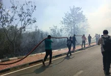 Kebakaran Lahan Terjadi di Jalan Pemda I Dobo, Kabel PLN Ikut Terbakar