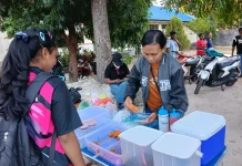 UMKM Warnai Pertandingan Voli Bupati Cup Malra 2026, Bantu Ekonomi Keluarga