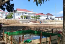 Halaman Kantor Bupati Aru Dikebut, Progres Capai 60 Persen jelang HUT ke-81