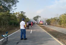 Bupati Thaher Turun Langsung Pantau Kebakaran Hutan di Dekat Bandara