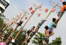 Menganalnya Sejarah Lomba Panjat Pinang pada 17 Agustus