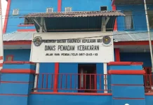Damkar Aru Keterbatasan Armada dan Peralatan, Kebakaran Lahan Terus Terjadi
