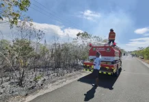 Karhutla Meningkat di Malra, Dinkes Waspadai Gangguan Pernapasan